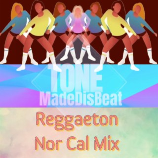 Reggaeton Nor Cal Mix (Instrumental)