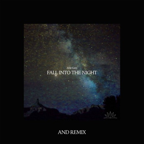 Fall Into The Night (and Remix) | Boomplay Music
