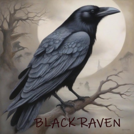 Black Raven | Boomplay Music
