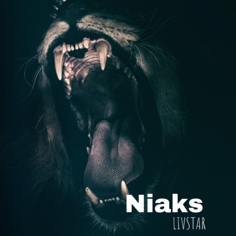 Niaks | Boomplay Music