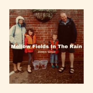 Mellow Fields In The Rain