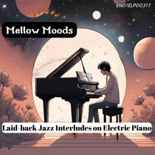 Mellow Moods: Laid-back Jazz Interludes on Electric Piano