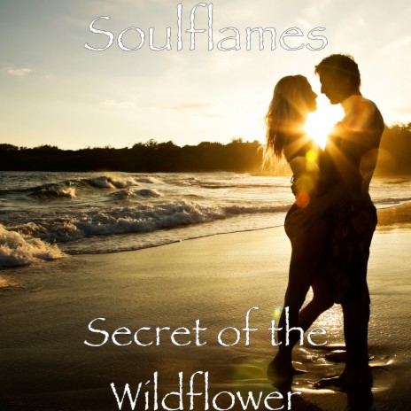 Secret of the Wildflower | Boomplay Music