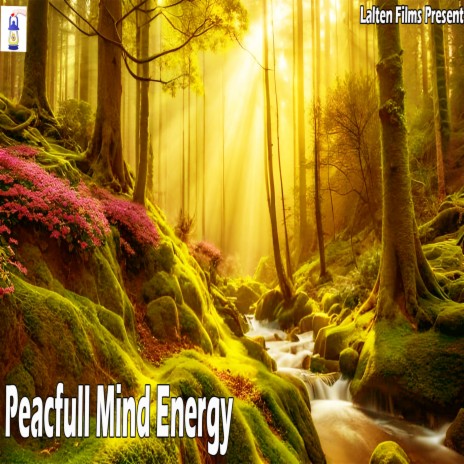 Peacfull Mind Energy | Boomplay Music