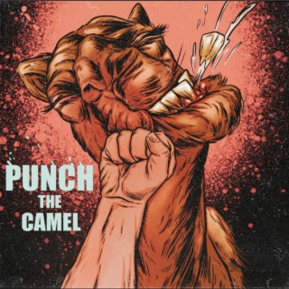 Punch The Camel