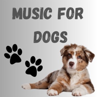 Music For Dogs (Vol.56)