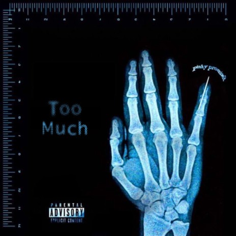 Too Much ft. Sy | Boomplay Music