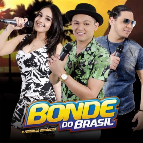 O Verdadeiro Solteiro | Boomplay Music