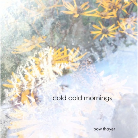 Cold Cold Mornings | Boomplay Music