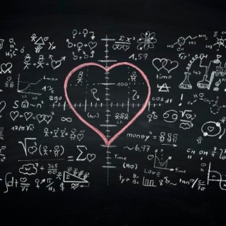THE EQUATIONS OF LOVE