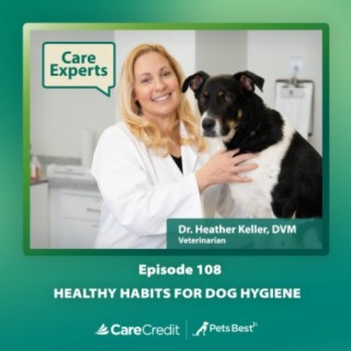 Healthy Habits For Dog Hygiene - Dr. Heather Keller