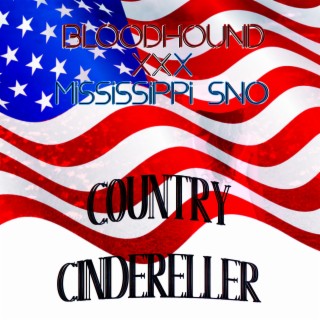 Country Cindereller
