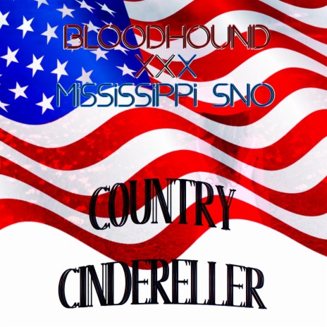 Country Cindereller ft. Ryan Woodcock | Boomplay Music