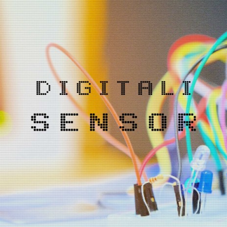 The Sensor | Boomplay Music