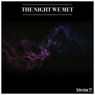 The Night We Met Selection 22