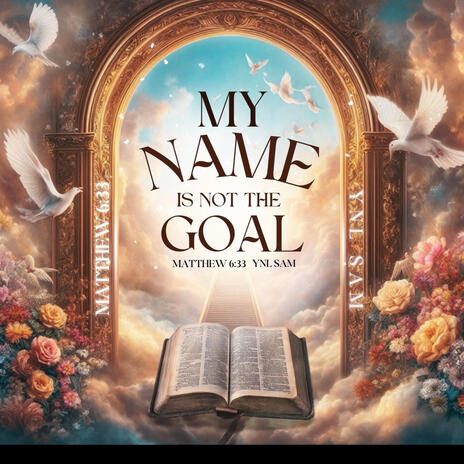 My Name Is Not The Goal | Boomplay Music