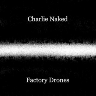 Factory Drones