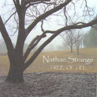 Nathan Strange