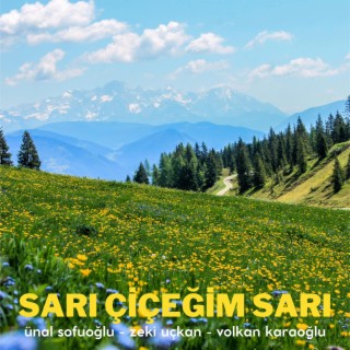 Sarı Çiçeğim Sarı