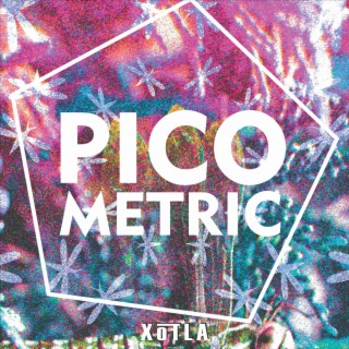 Pico Metric