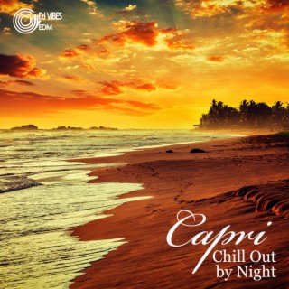 Capri Chill Out by Night: The Best Chill Lounge Music Collection 2022 (Summertime, Dance Party, Hotel Lounge, Sexy Vibes, Relax, Holiday Hits)