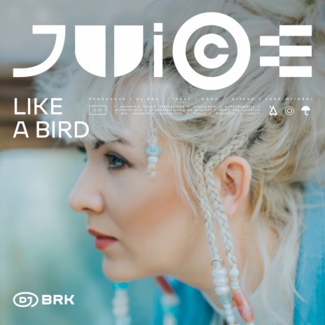 Like A Bird ft. Udoo | Boomplay Music