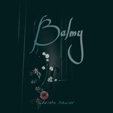 Balmy | Boomplay Music