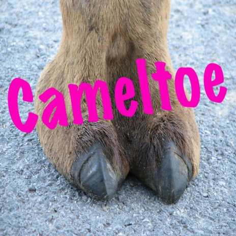 Cameltoe