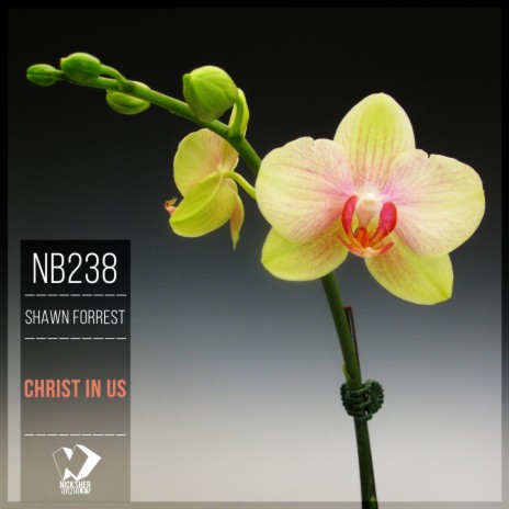 Christ in Us (Original Mix) | Boomplay Music