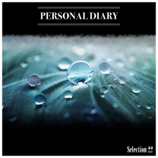 Personal Diary Selection 22