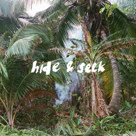 Hide & Seek | Boomplay Music