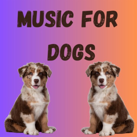 Blissful Vibes ft. Music For Dogs Peace, Relaxing Puppy Music & Calm Pets Music Academy | Boomplay Music