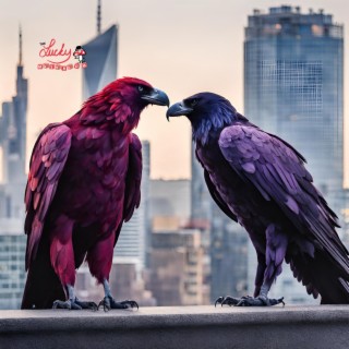EAGLES AND RAVENS
