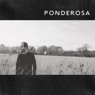 Ponderosa