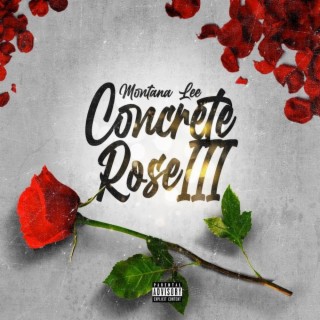 Concrete Rose III