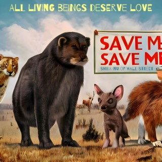 All living beings deserve love