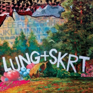 Lung/Skrt Split