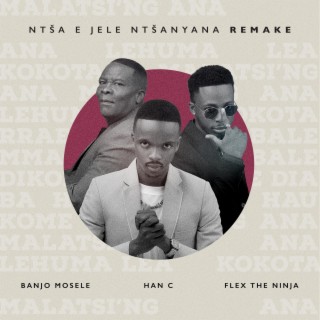 Ntsa Jele Ntsanyana (Remake)