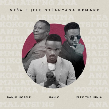 Ntsa Jele Ntsanyana (Remake) ft. Banjo Mosele & Flex The Ninja | Boomplay Music
