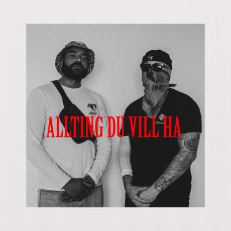 Allting du vill ha ft. Madu | Boomplay Music