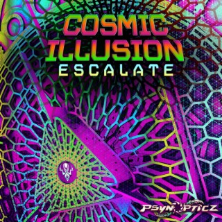 Cosmic Illusion