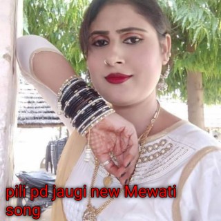 Pili Pd Jaugi New Mewati Song