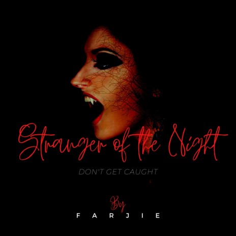 Stranger of the Night | Boomplay Music