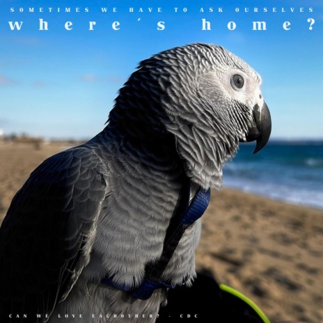 where’s home? | Boomplay Music