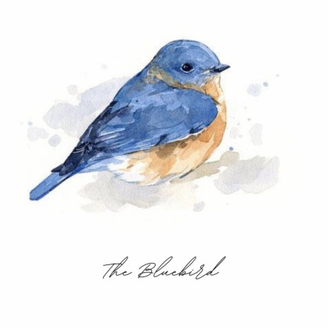 The Bluebird