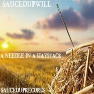A Needle in a Haystack