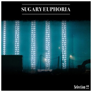 Sugary Euphoria Selection 22