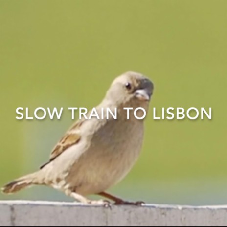 Slow Train To Lisbon