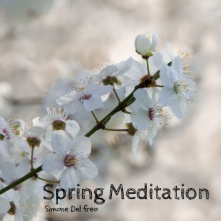 Spring Meditation