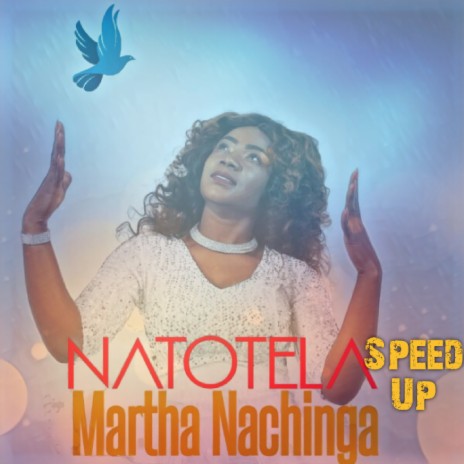 Natotela- Speed Up (Radio Edit) | Boomplay Music